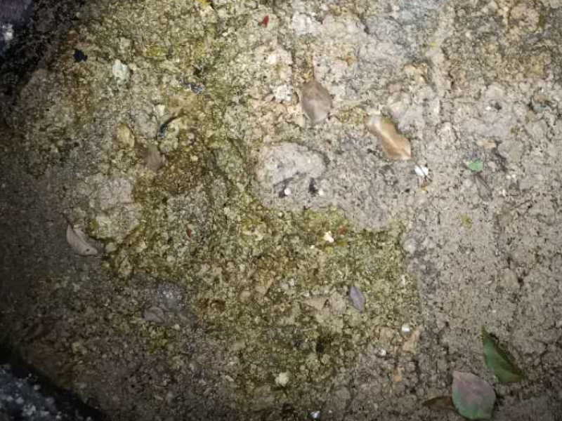 杭州专业师傅服务通下水道马桶 地漏 打捞首饰项链